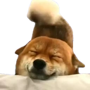 Happy little frog (PeepoHappy)